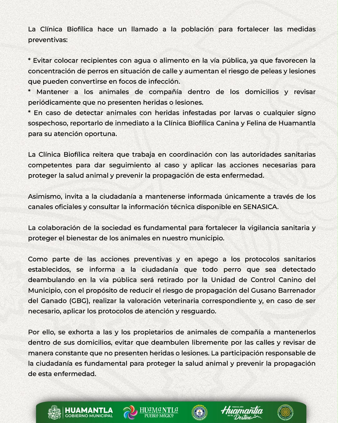 Clínica Biofílica Canina y Felina de Huamantla confirma atención de caso positivo de Gusano Barrenador en canina en situación de calle y activa protocolos sanitarios